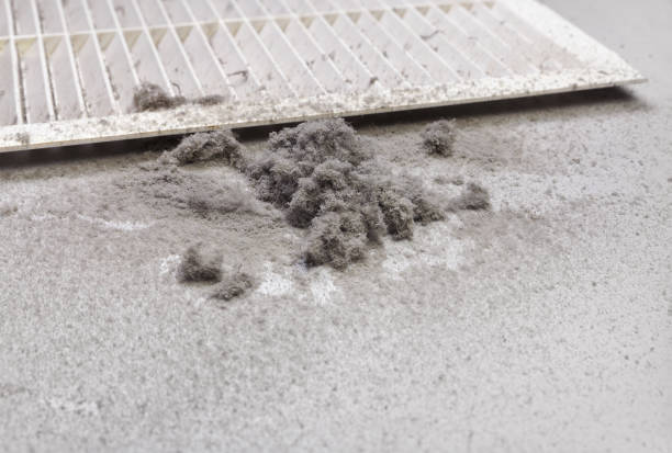 Best Affordable Air Duct Cleaning  in Laurens, SC