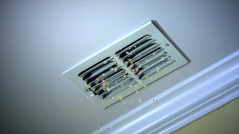 Best Duct Cleaning Specialists  in Laurens, SC